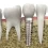Dental Implants – How Do They Work?