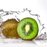 Natural-Lubricants