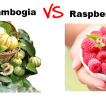 Comparison of Garcinia Cambogia and Raspberry Ketones