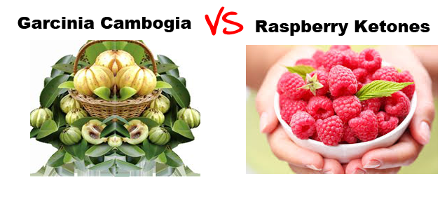 Comparison of Garcinia Cambogia and Raspberry Ketones