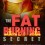 The Fat Burning Secret – A Book That Sheds Light on All the Basics of Fat Burning