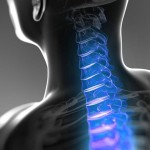 banner 01 1