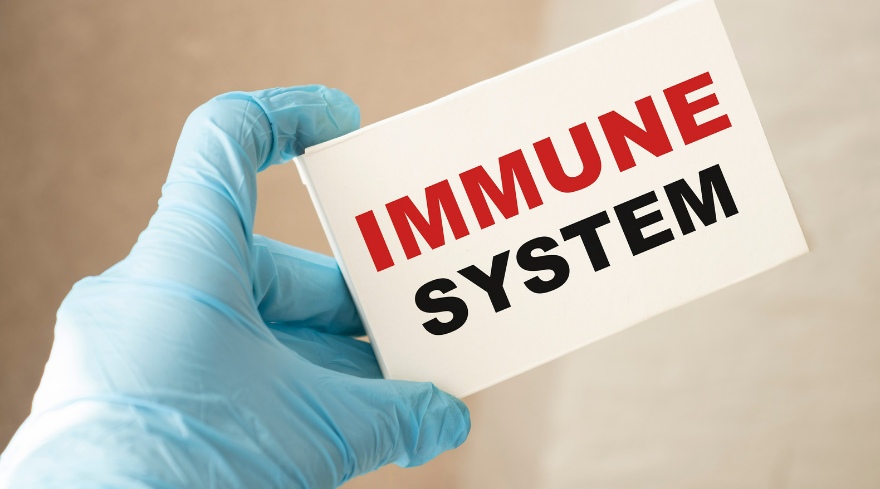 How IV Therapy Can Boost Your Immune System?