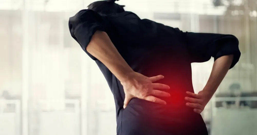 Back Pain Back Pain